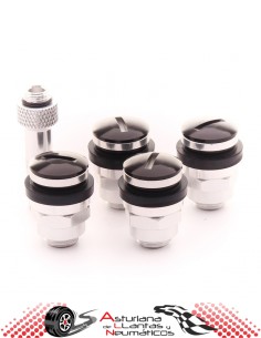 Valvulas  JR v1 Invisibles - Negras