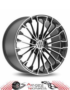 LLANTAS VICTOR EQUIPMENT WURTTEMBURG - Colores