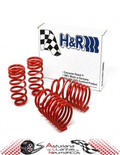 MUELLES H&R RACE SPRINGS